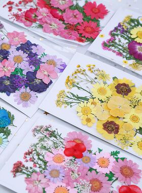 干花压花材料包手工DIY