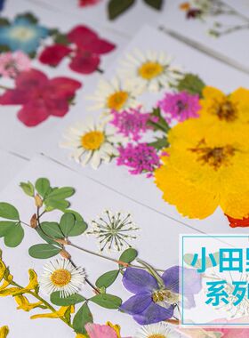 干花押花滴胶手工材料包