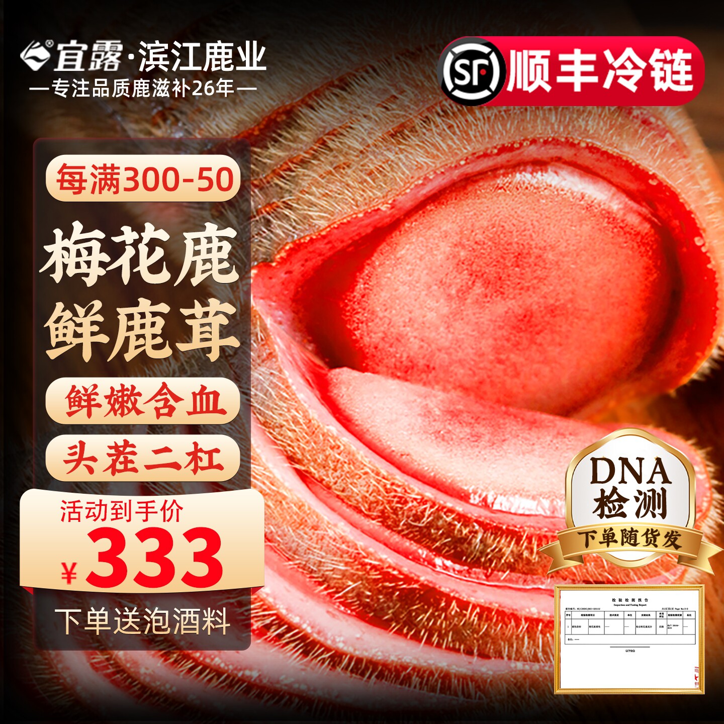【2026现割】宜露梅花鹿鲜鹿茸