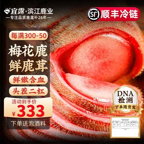 【2026现割】宜露梅花鹿鲜鹿茸