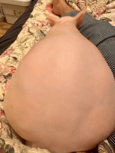 斯芬克斯猫无毛猫幼猫幼崽纯种活体活物宠物猫咪小猫蓝眼加拿大