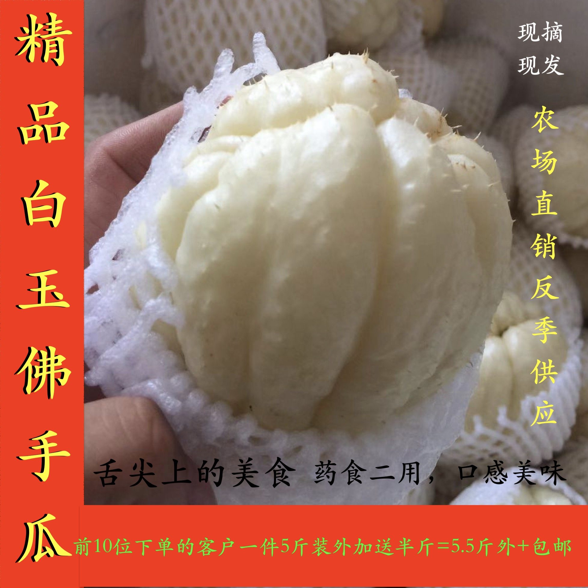 农家新鲜蔬菜特产瓜果白玉佛手瓜杨瓜洋瓜捧瓜丰收瓜窝瓜5斤包邮