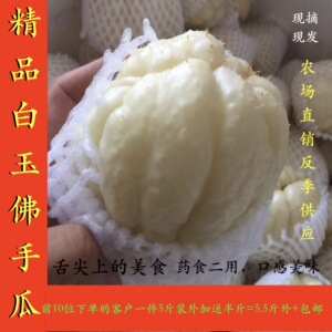 农家白佛手瓜新鲜特产