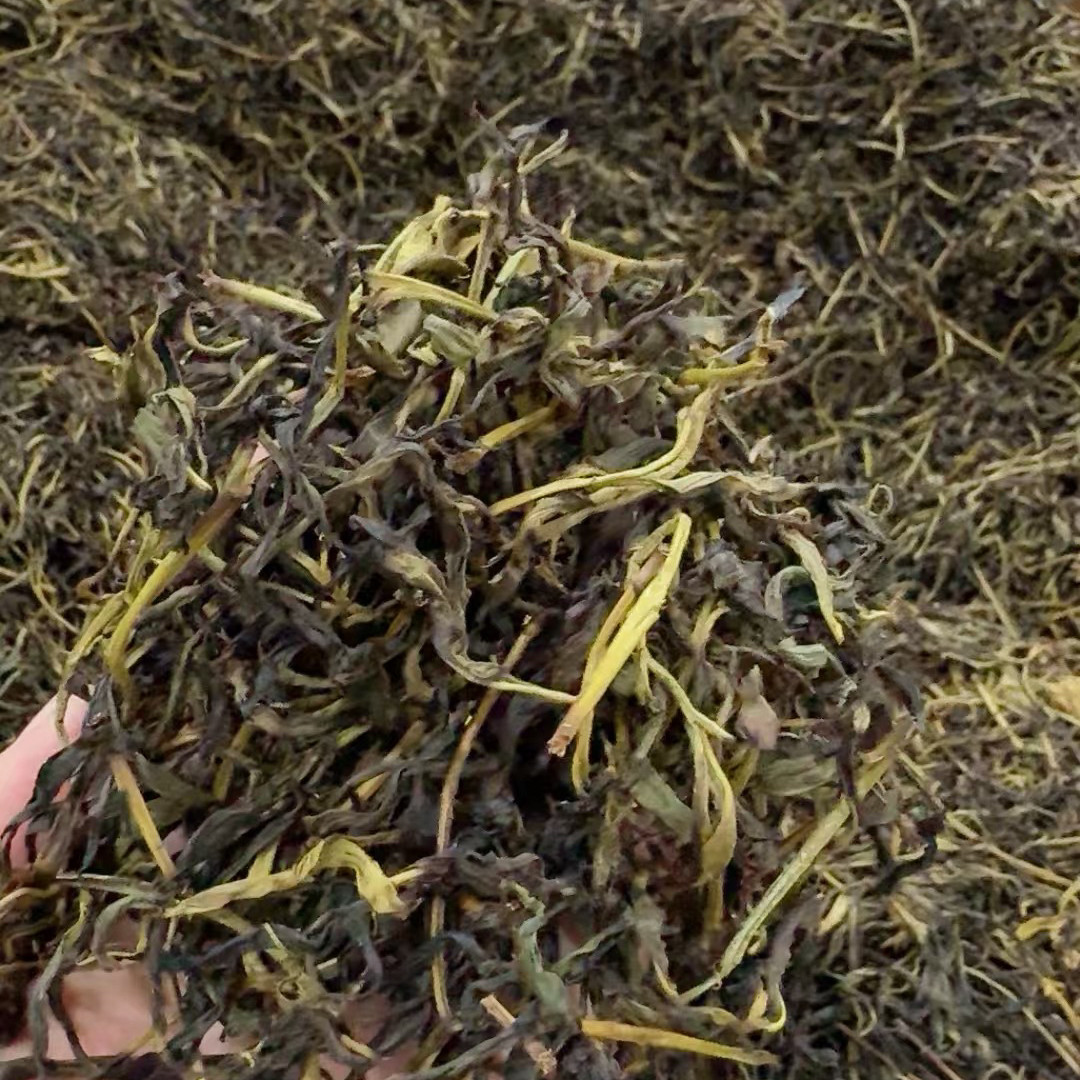 南澳岛黄花山国家森林公园生态有机手工春茶单丛白叶潮汕单枞茶叶