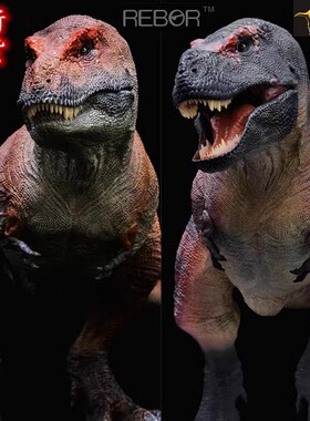 REBOR侏罗纪恐龙2022年科学帝王暴龙霸王龙 成人孩子模型玩具现货