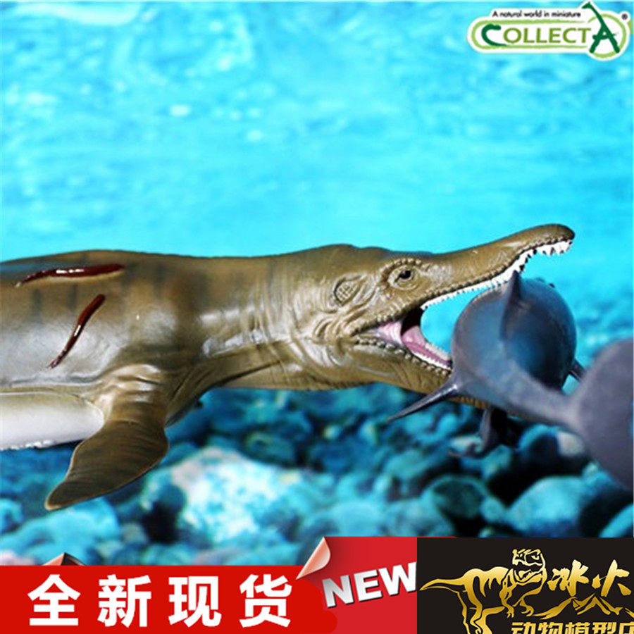 collecta我你他 野生动物恐龙模型玩具 上龙 88699 全新现货