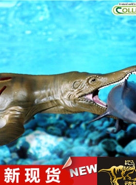 COLLECTA我你他 野生动物恐龙模型玩具 上龙 88699 全新现货
