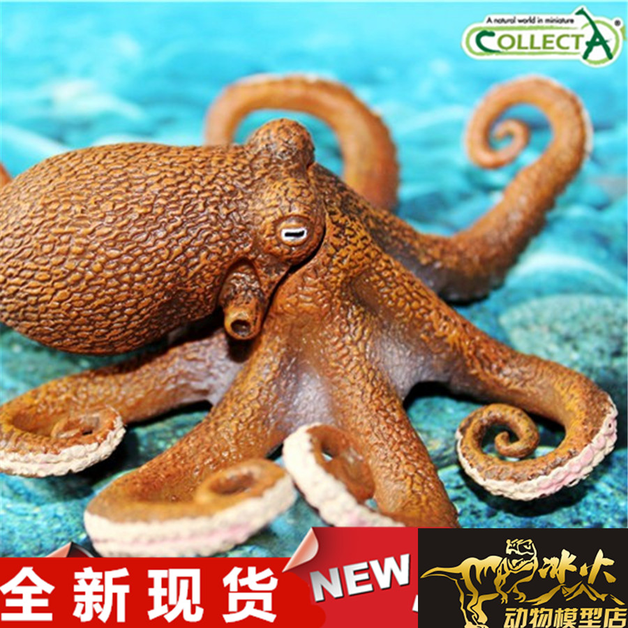Collecta章鱼全新现货野生动物图片