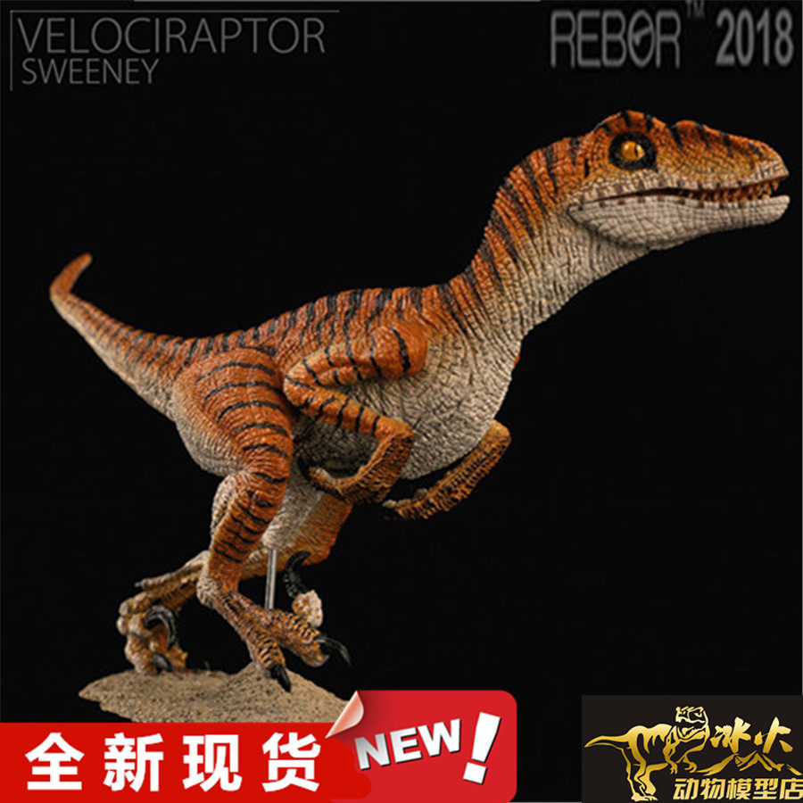 rebor侏罗纪恐龙 奔跑迅猛龙sweeney 男女孩成人模型玩具现货包邮