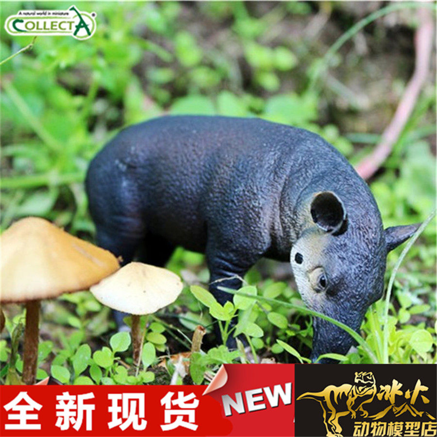 collecta我你他男女孩仿真野生动物模型玩具 中美貘88596现货