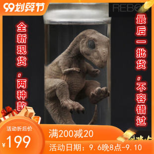 REBOR ヴェロキラプトル ティラノサウルスの胎児恐竜モデル