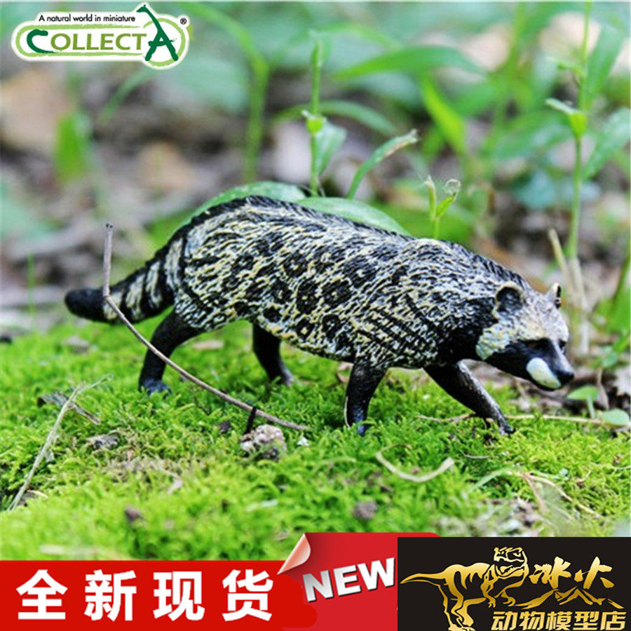 collecta我你他 野生动物模型玩具2018非洲灵猫88824全新现货