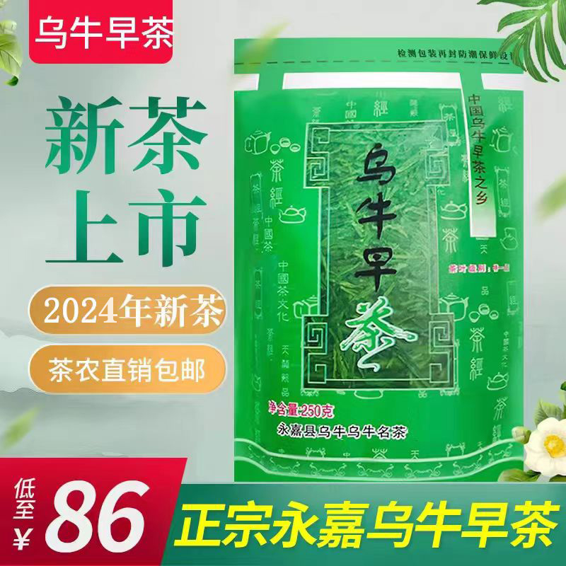 永嘉乌牛早茶2024新茶龙井茶明前袋装龙井春茶绿茶250g乌牛早