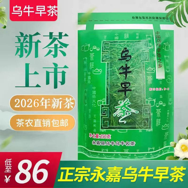永嘉乌牛早茶2026新茶龙井茶明前袋装龙井春茶绿茶250g乌牛早
