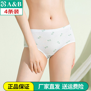 女士纯棉内衣抗菌中腰小平角裤 正品 印花全棉三角0286 4条装 ab内裤