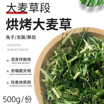 大麦草段绿无碎草新草500g/份