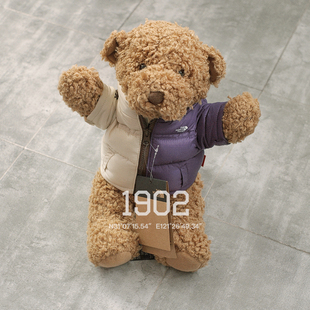 现货 Supreme The North Face Bear TNF联名 羽绒服毛绒玩具小熊