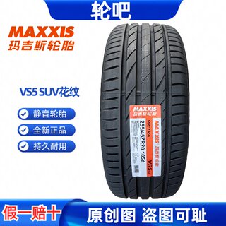 玛吉斯轮胎255/45R20 105Y VICTRA VS5suv 广汽新能源 Aion V