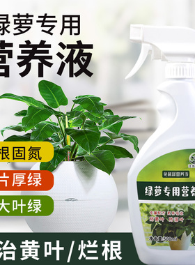 绿萝营养液免稀释直喷绿色植物大叶叶面肥水养水培黄叶一喷绿