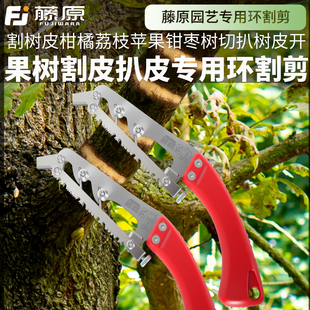 藤原果树环割刀环剥刀环枝剪荔枝柑桔果树剥皮环剥钳芽接刀环割锯