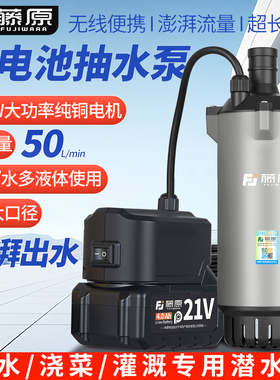 小型无线锂电池抽水泵农用灌溉浇水浇菜神器便携充电式直流潜水泵