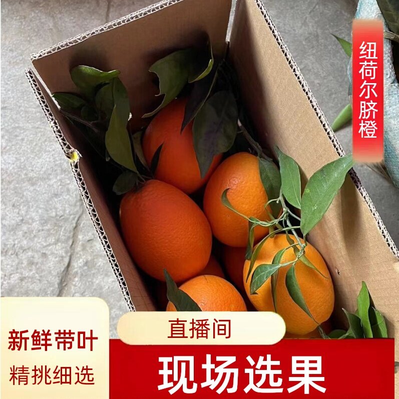 【直播间福利】新鲜带叶重庆奉节纽荷尔脐橙子鹅蛋柑净重9斤鲜甜,水产肉类/新鲜蔬果/熟食,橙,淘宝优惠券,粉丝福利购,淘宝优惠卷