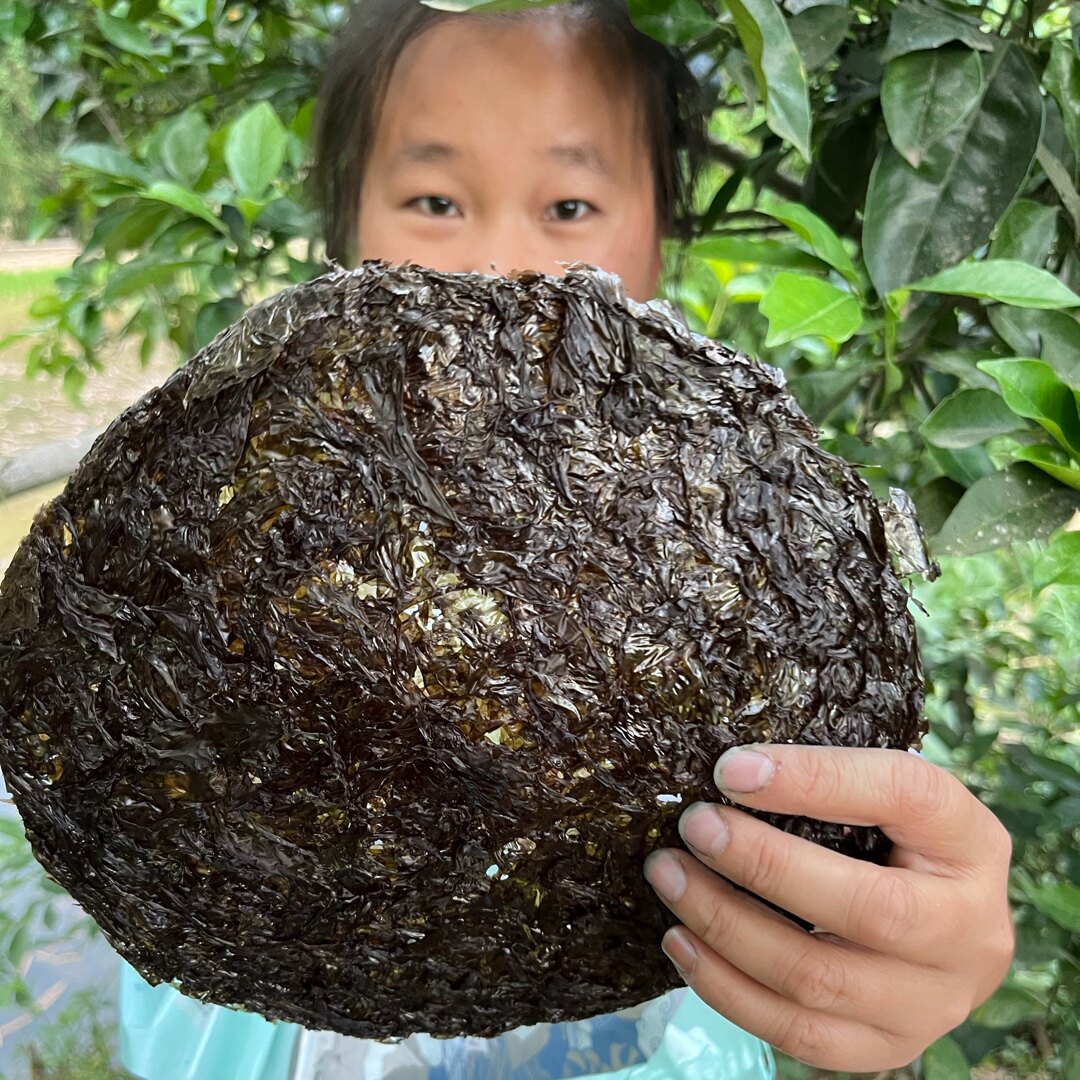 【直播间新人福利】紫菜干货袋装水产干货煲汤8g特产圆饼紫菜干货