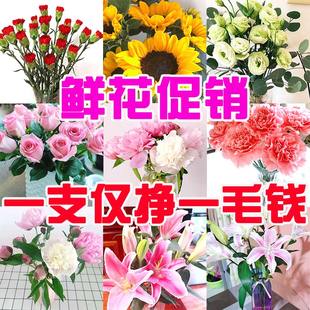 母亲节四川芍药鲜切花油画牡丹云南鲜花玫瑰百合康乃馨向日葵花束