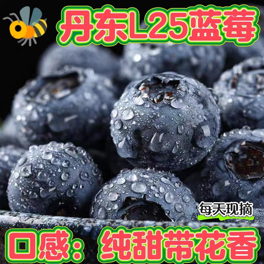 丹东L25蓝莓鲜果特大果新鲜蓝莓当季水果云高山南怡颗花香蓝莓梅,水产肉类/新鲜蔬果/熟食,蓝莓,淘宝优惠券,粉丝福利购,淘宝优惠卷