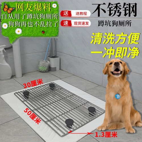 蹲坑网架狗厕所丨防踩屎一冲即净
