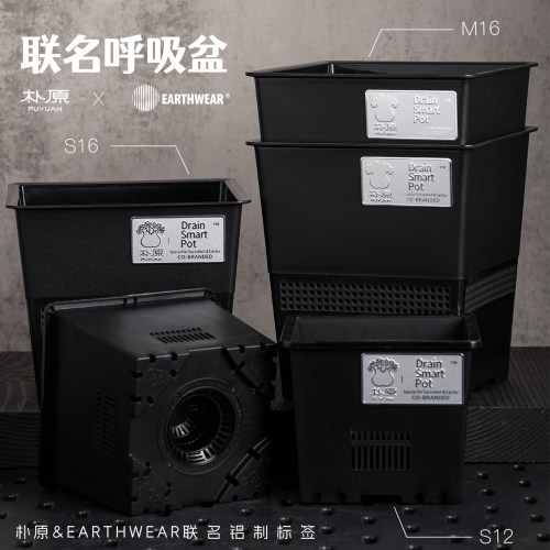 联名花盆呼吸盆透气盆块根花盆