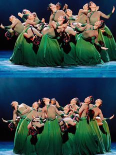 格桑花开了舞蹈服藏族舞演出服女子民族舞大摆裙群舞艺考表演服装