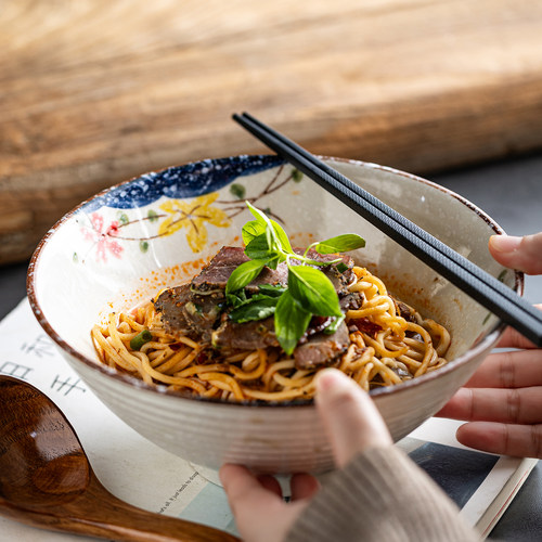 牛肉面碗牛杂牛腩汤面碗粉碗创意家用手绘陶瓷大碗饺子面碗凉拌碗