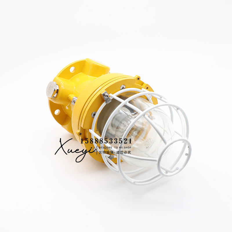 海星海事船用铝质舱顶防爆灯CFD1/4/11防水24V220V舱室照明CCS证