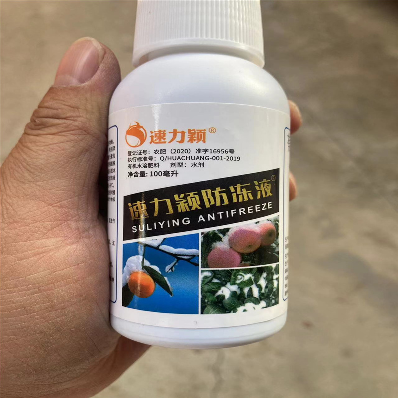 速力颖防寒抗冻微量元素叶面肥水果草莓花卉预防冻害提高抗逆性