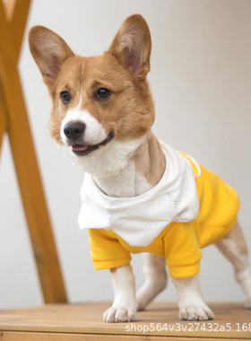 狗狗衣服秋冬小型犬泰迪比熊博美雪纳瑞柯基可爱黄色卫衣