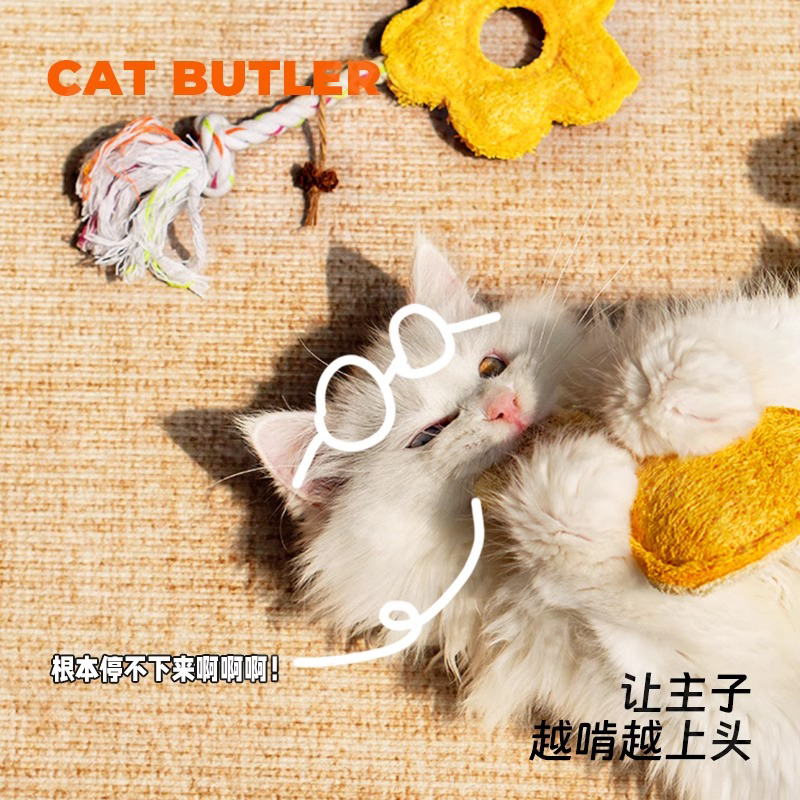 丝瓜络猫玩具自嗨解闷猫咪玩具啃咬洁牙逗猫棒小猫咪磨牙玩具