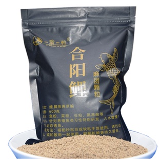 一翁一钓合阳鲤麻团颗粒600克鲫鲤草青养殖黑坑原塘颗粒