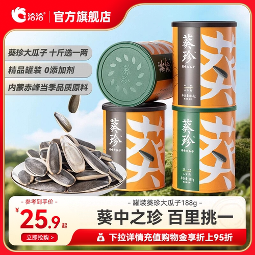 洽洽大瓜子葵珍罐装休闲零食恰恰