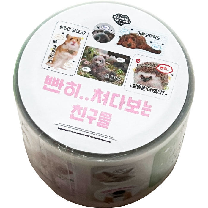 韩国正品a bubble crush 闪光的日子美纹手帐切模贴纸胶带 25mm