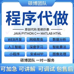 java代码编写Python代编程软件开发计算机小程序C语言前端接单