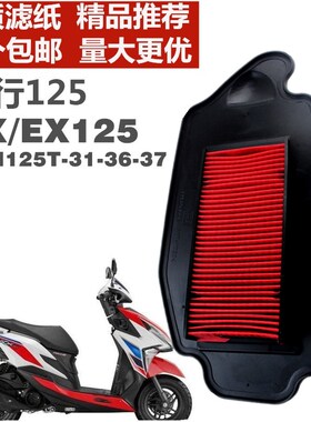 适用于新本裂行空气滤芯RX/EX SDH125T-31-36-37滤芯 空滤器滤芯