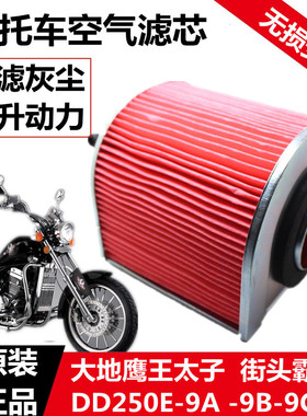 大地鹰王太子摩托车街头霸王DD250E-9A -9B-9C-5F空气过滤芯空滤