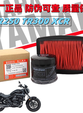 原装豪爵摩托车DR250 TR300 XCR机滤空滤机油格空气滤芯原厂配件
