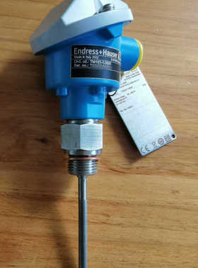 E+H 热电阻温度计TM101-AACCA4BA0A1A1（议价