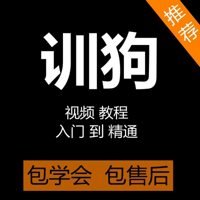 训狗视频教程训犬金毛边牧训练课程宠物狗狗定点上厕所大小便教学