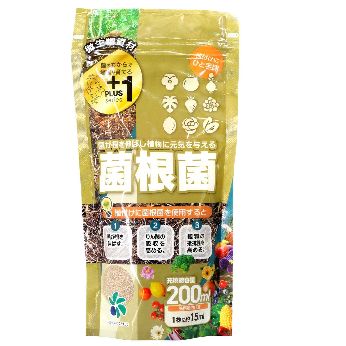 菌根菌全植物通用促进生长根部发