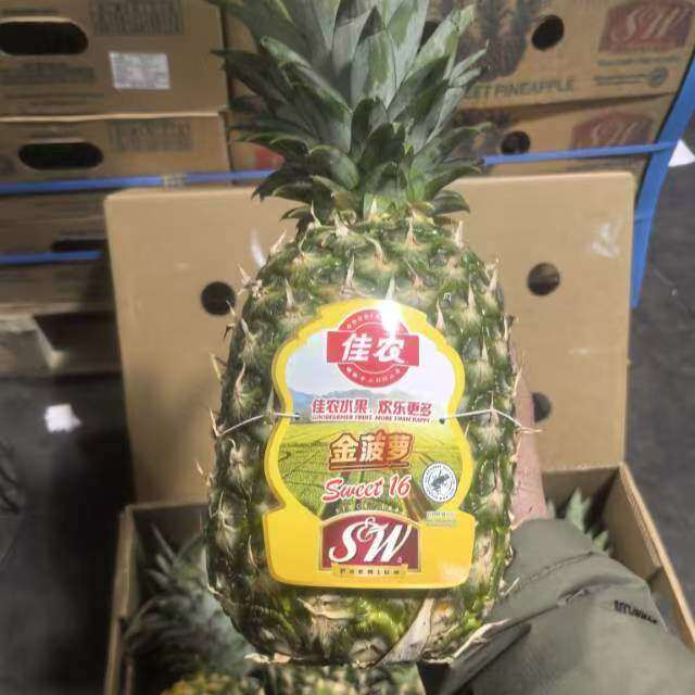 嘉兴一级水果批发市场新鲜大果佳农菲律宾红标SW蜂蜜凤梨黑钻凤梨