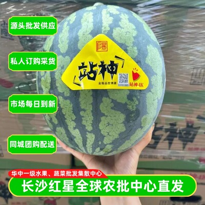 站神甘美4K西瓜网红高端整箱发货