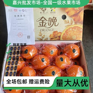 嘉兴一级水果批发市场爆款嘉禾五星蜜匠人金晚橙秭归伦晚橙大果甜
